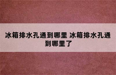 冰箱排水孔通到哪里 冰箱排水孔通到哪里了